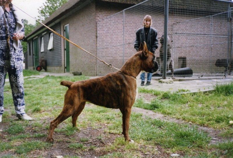 CH. De la brevenne Gean